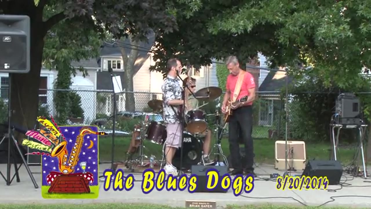 Payson Park Music Festival: The Blues Dogs with special guest James Brown JR. 08/20/14