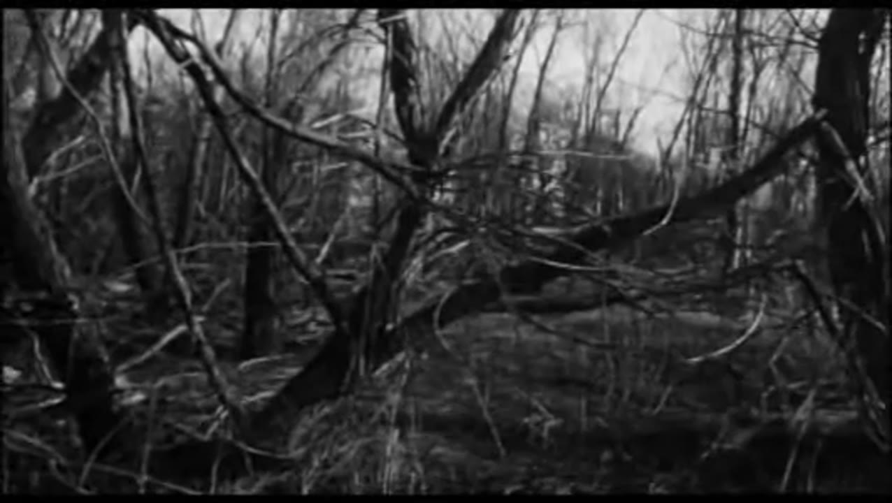 THE GIANT GILA MONSTER widescreen & quality upgrade
