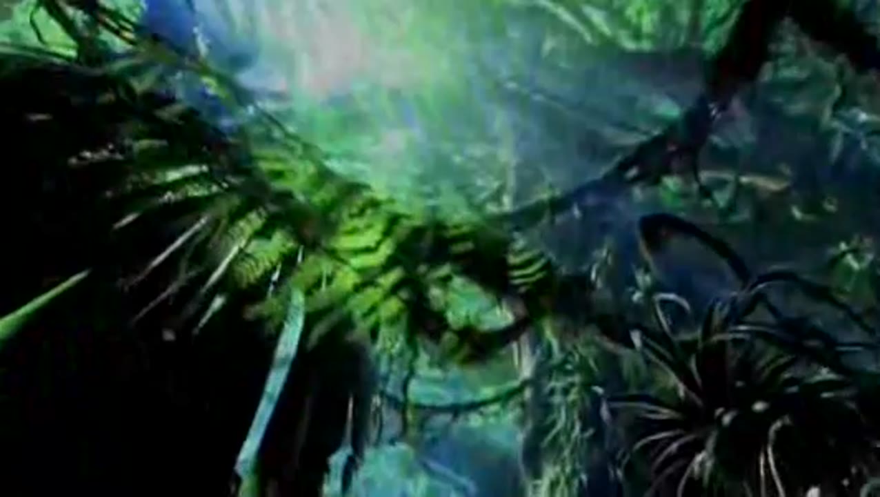 "A Steady Eye on Home" Features "Avatar" Director