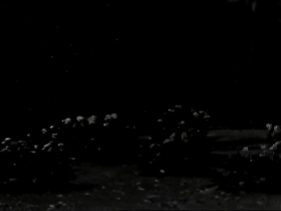[Home Movies: Hollywood, Orient]