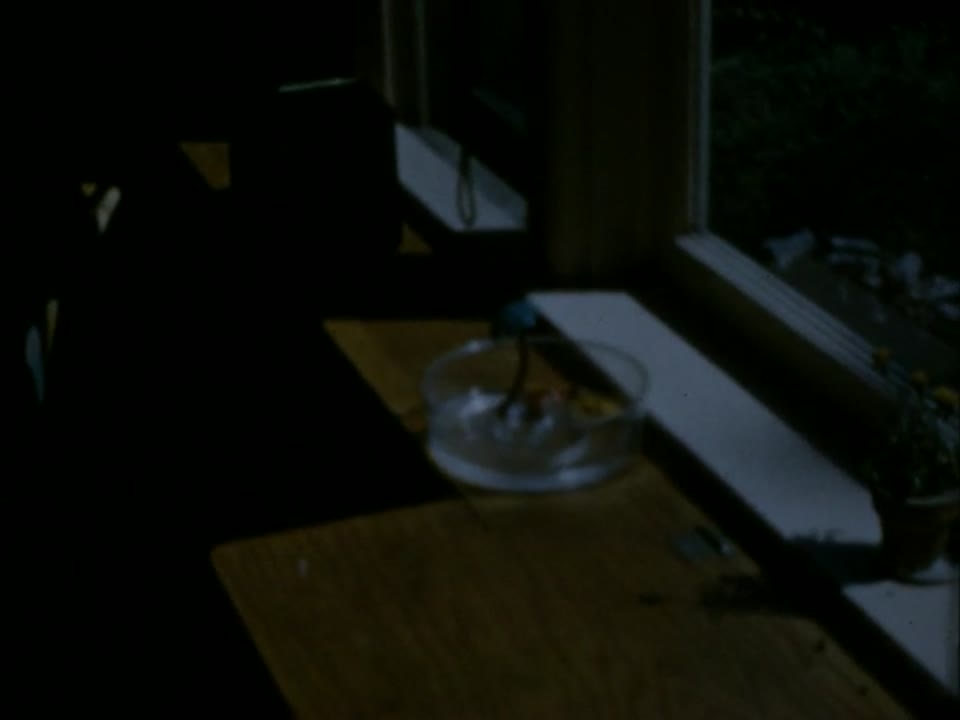Home Movie: 97393: Unidentified