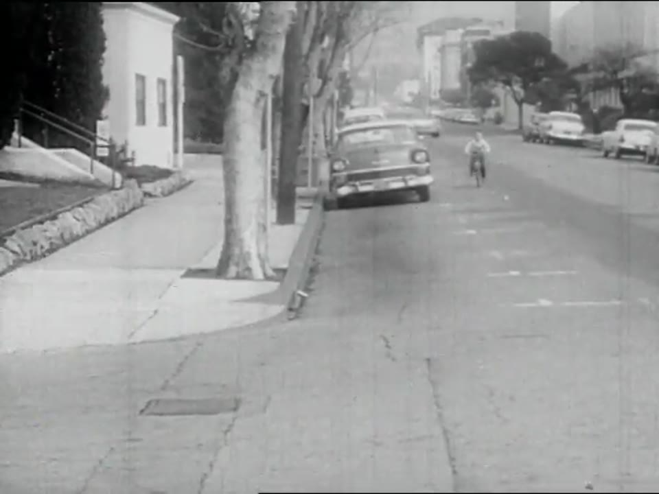 You and Your Bicycle