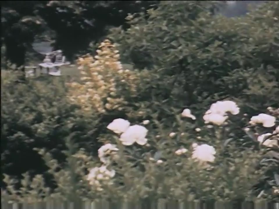 [Home Movies: Crawford Farm]