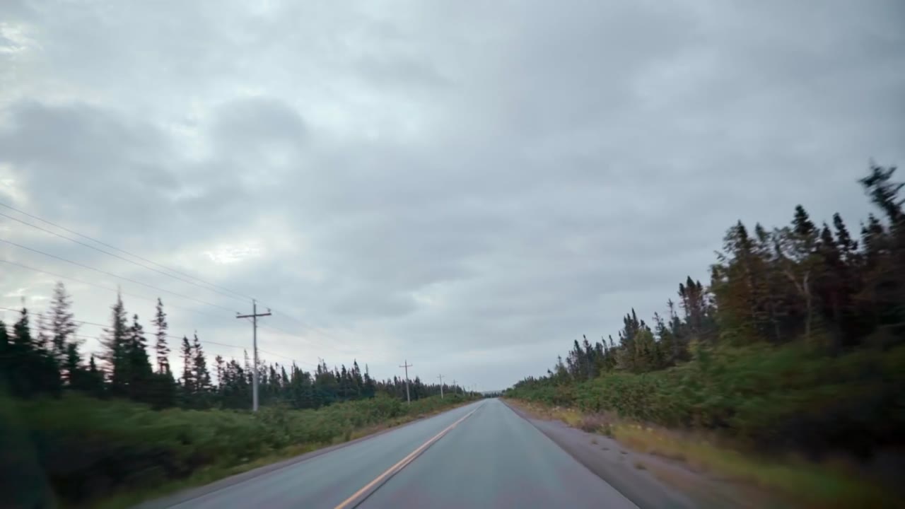 Island Diaries Season 1