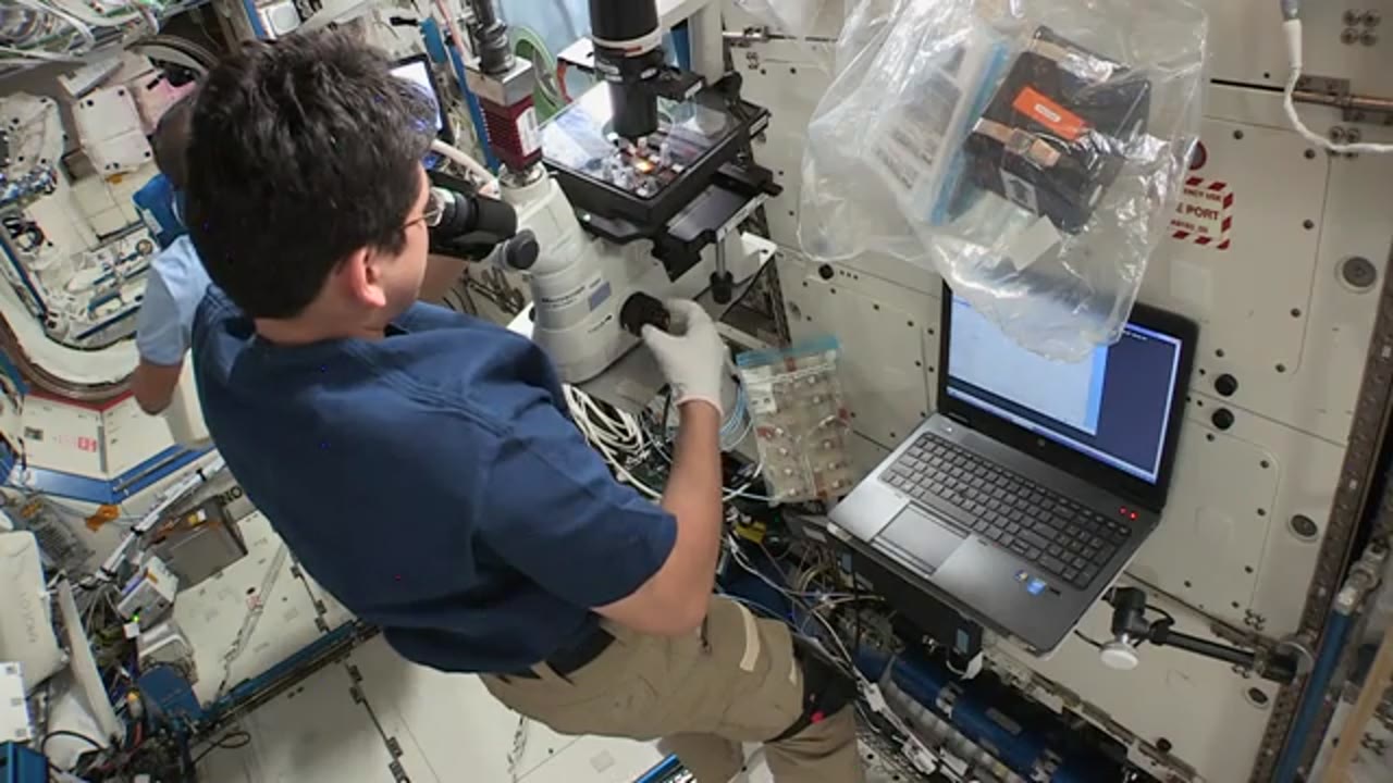 ISS-Downlink-Video_Kanai-Synthetic-Bone-Microscope-Ops_HD-DL-2_2017_363_1052_600940.mxf