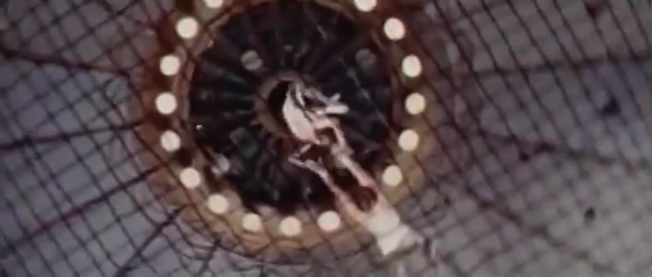 trapeze