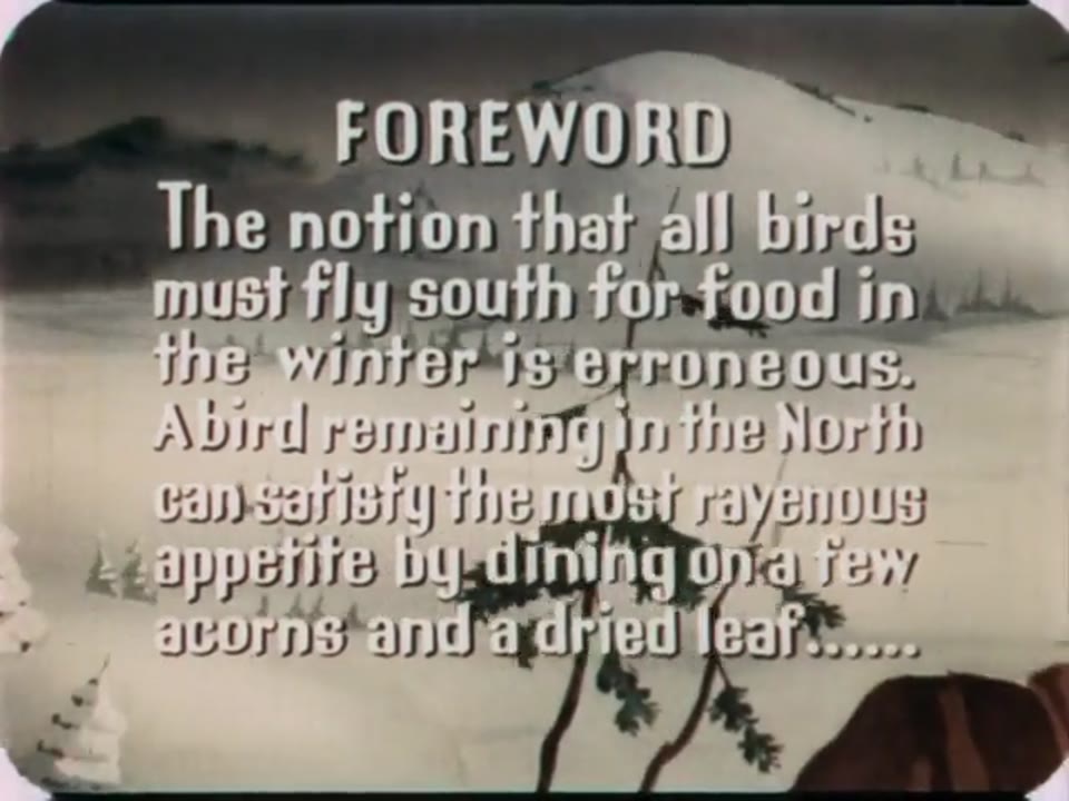 Plenty Below Zero (1943)