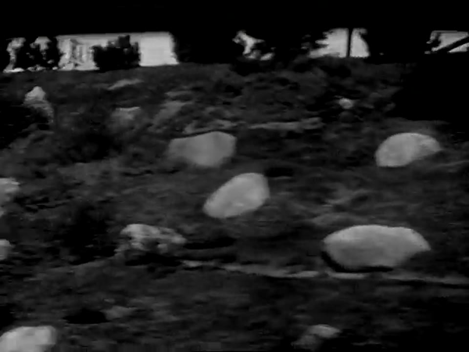 [Home Movies: Lenawee County, Michigan: Highway, Swimming, Baseball, Kite Flying]