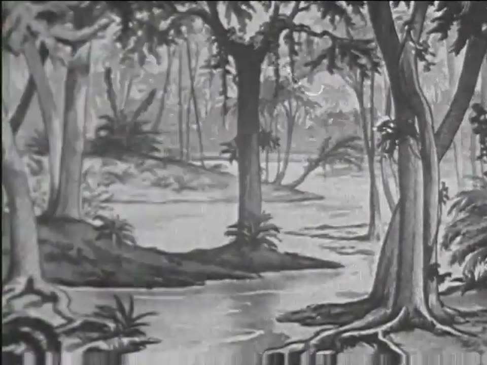 Story of Coal, The