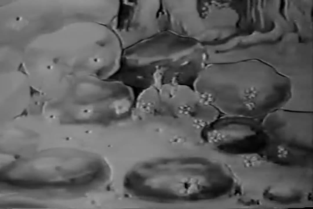 Bosko's Woodland Daze (1932)