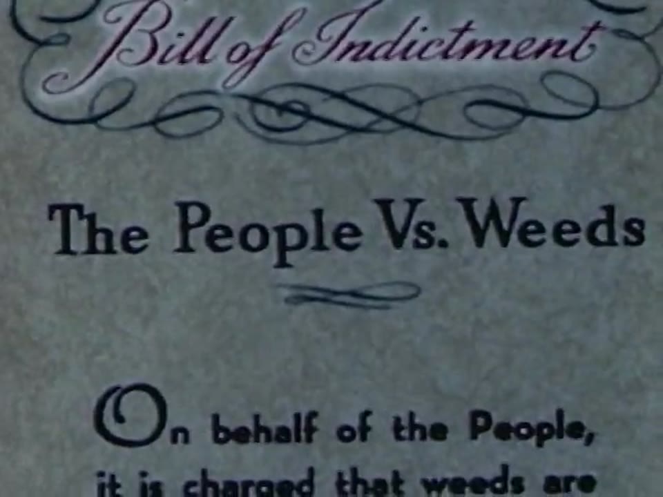 Death to Weeds