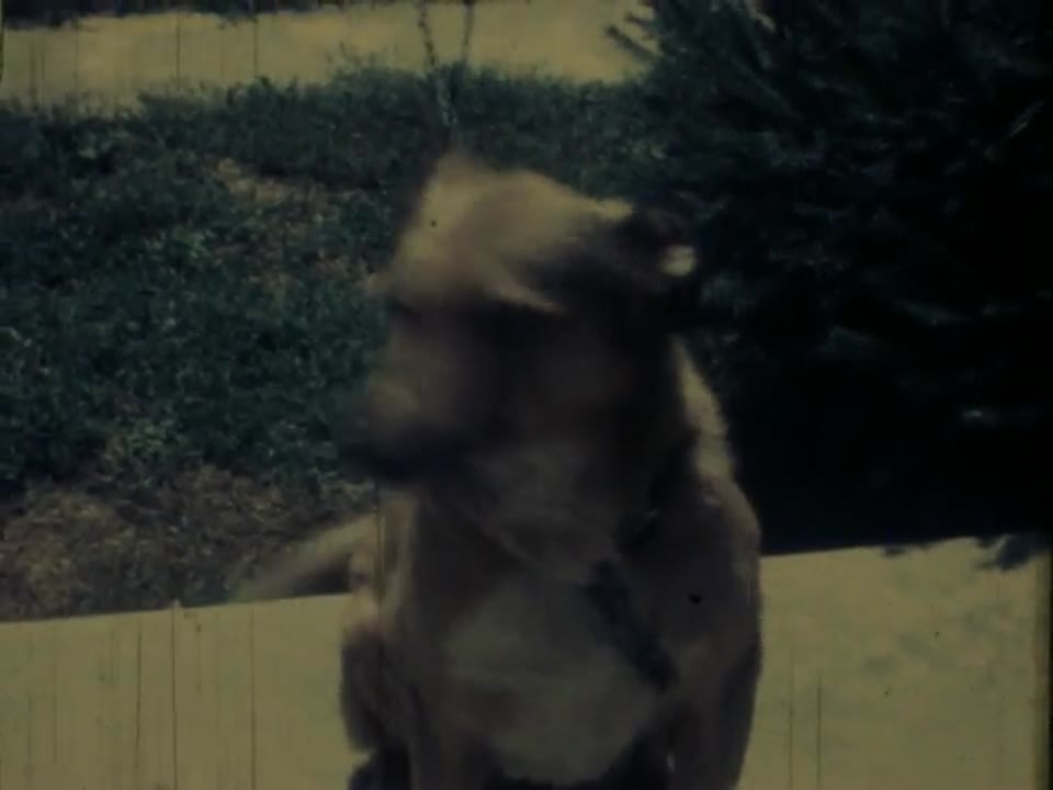 Home Movie: 97360: Pennsylvania Family