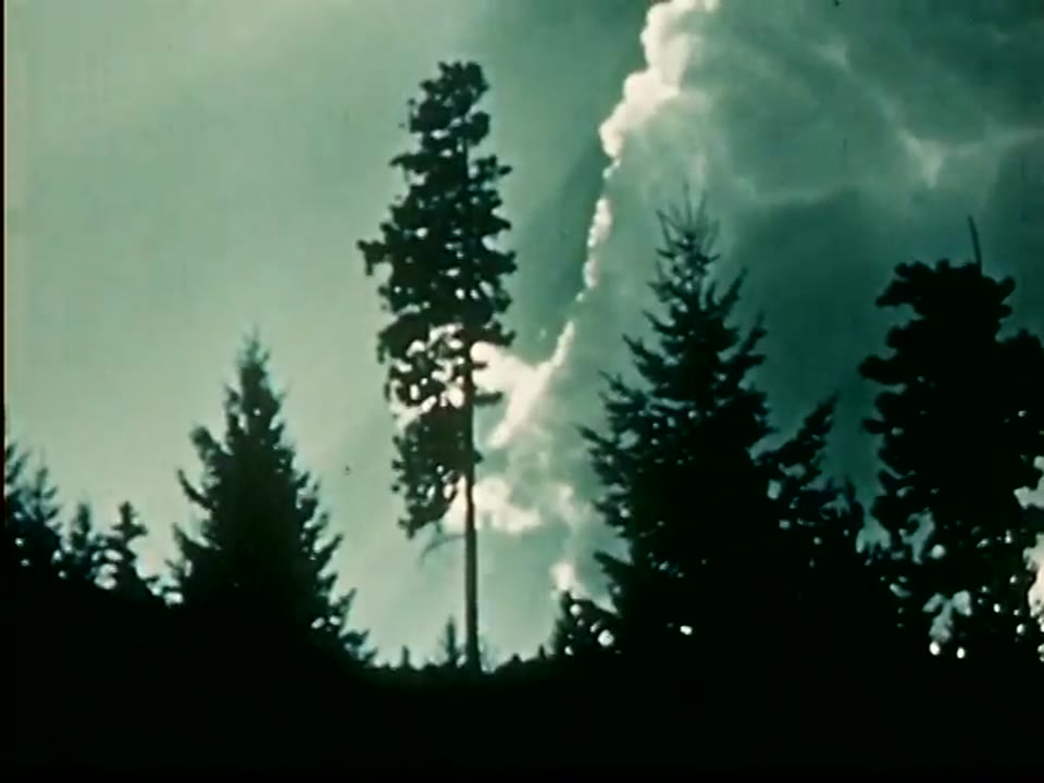 Smoke Jumpers