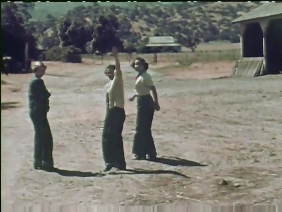 [Home Movies: Ransohoff Collection: Horses, Lake, Recreation]