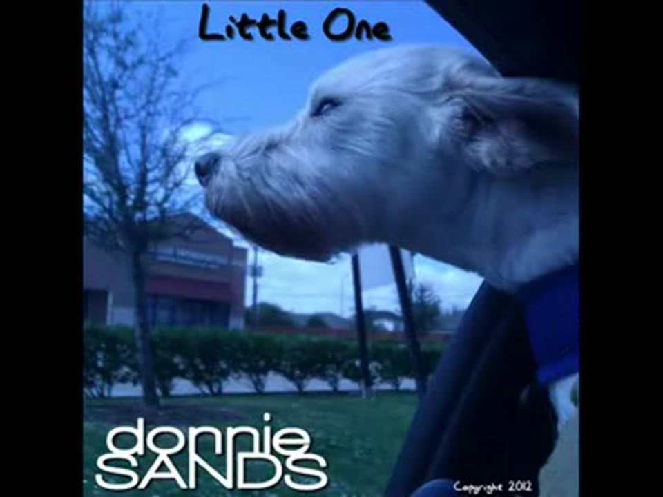 Little One Acoustic (With Lyrics) Original - Donnie Sands