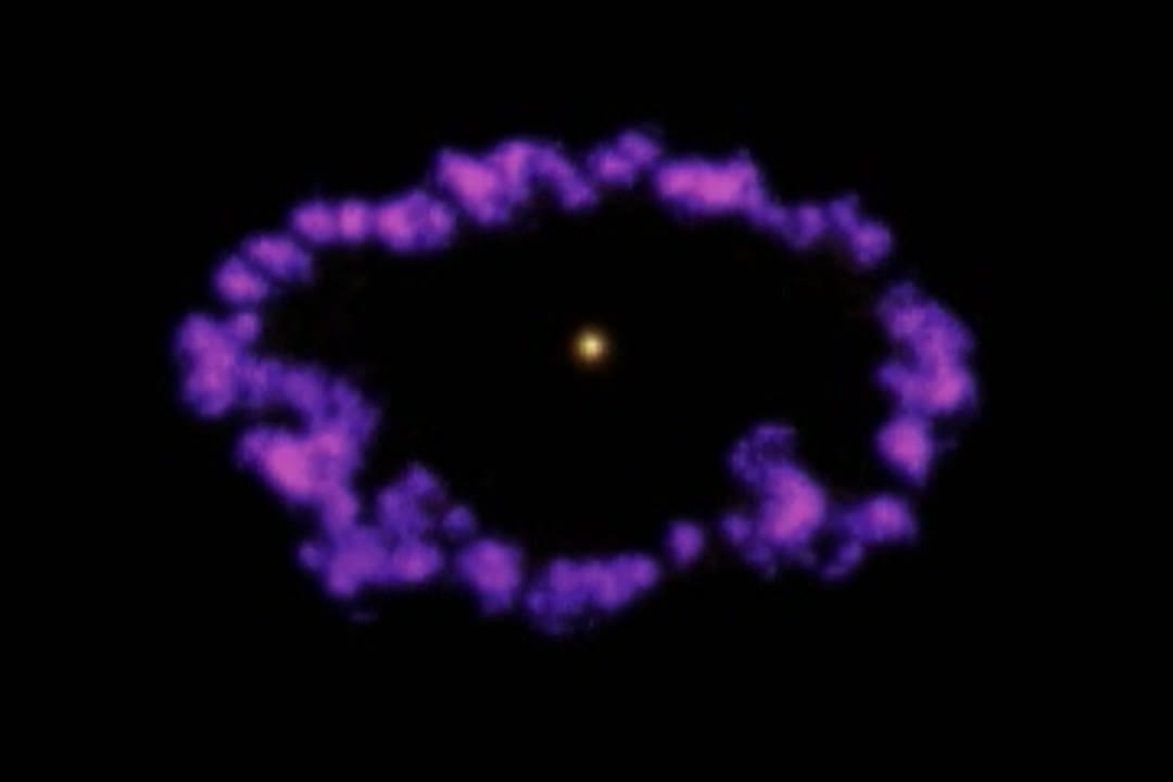 Supernova 1987A Animations