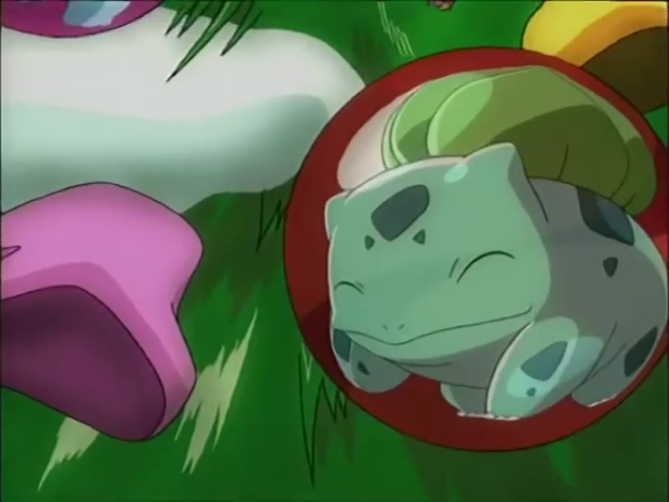 Pokémon: Pikachu's Winter Vacation (2001, Full VHS)