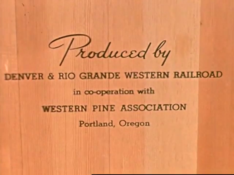 From Forest to Fireside: The Story of Ponderosa Pine