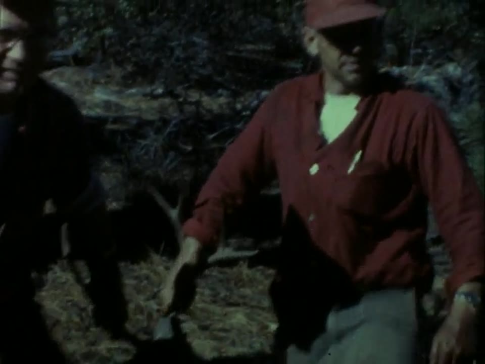 Home Movie: 97179: Unidentified