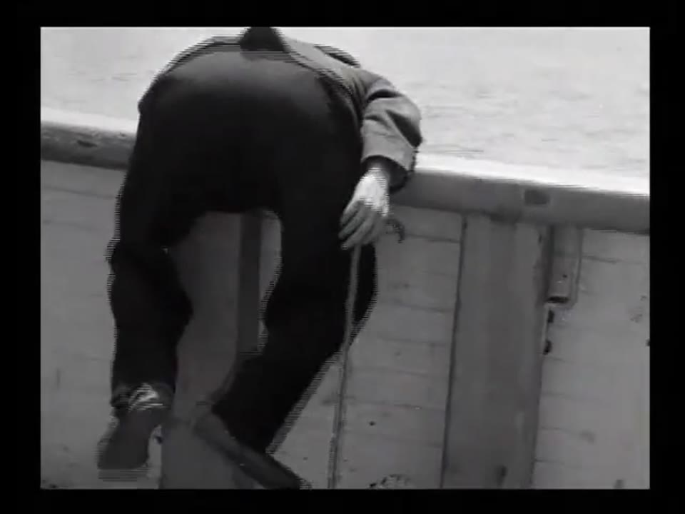 The Immigrant (1917)