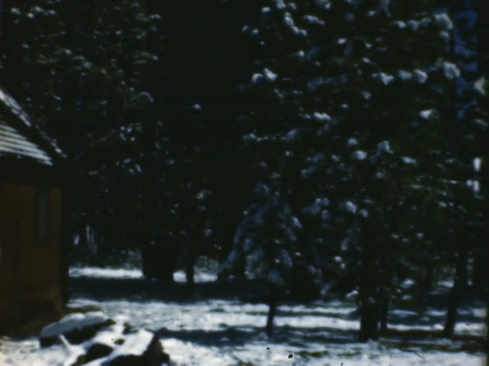 Home Movie: 10836: Prelinger Collection