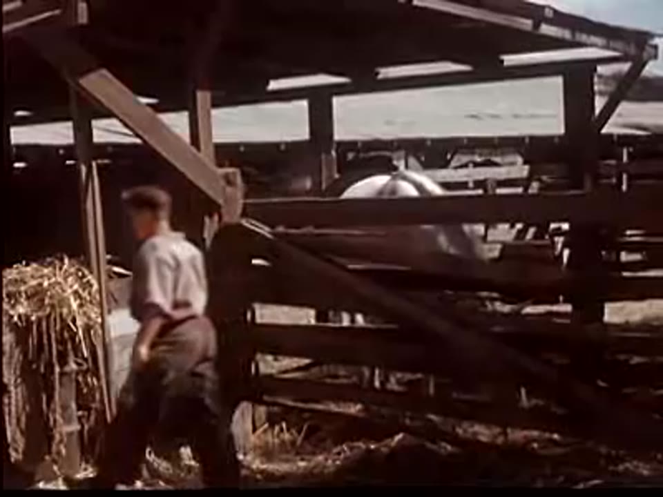 Teen-Age Farm Hand