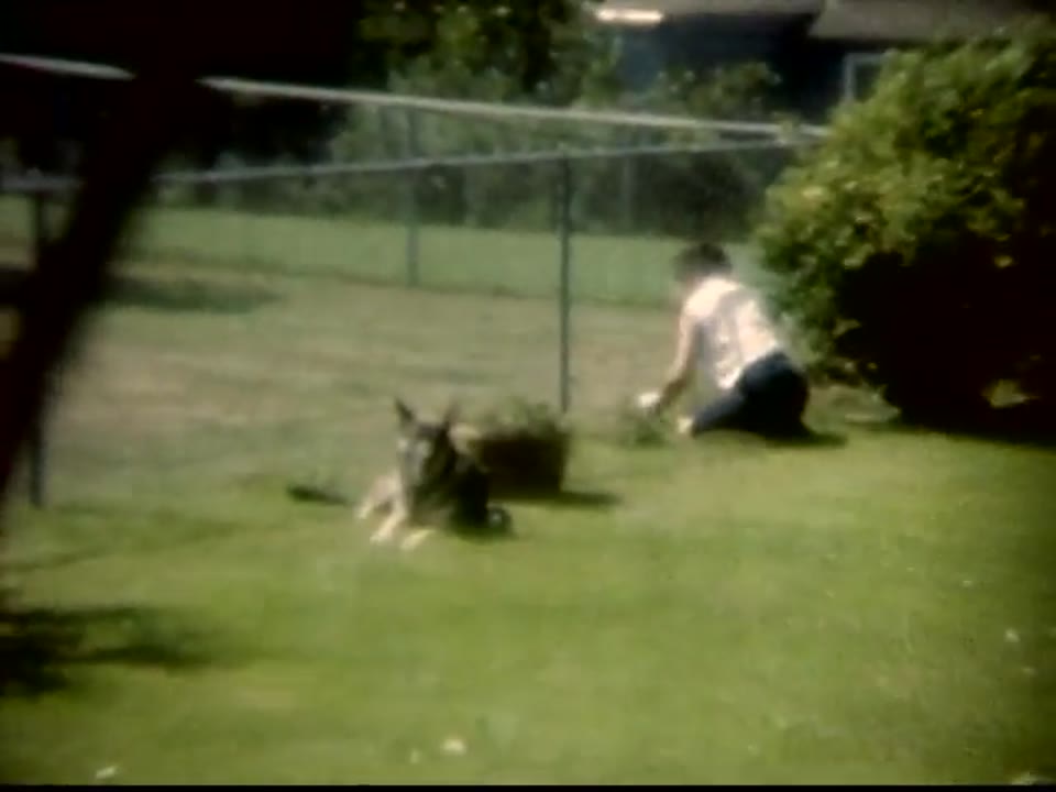 [Home Movies: Clinton, N.Y. collection 2]