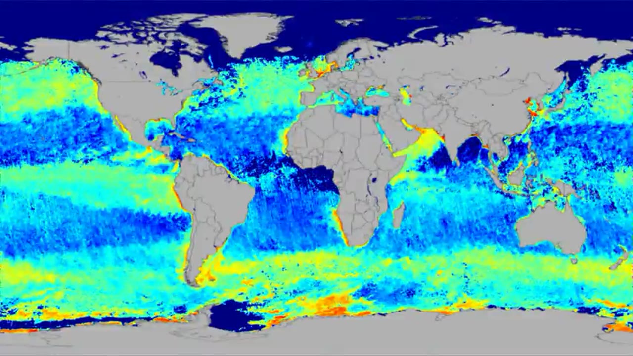 Stresses on Global Phytoplankton Revealed by MODIS