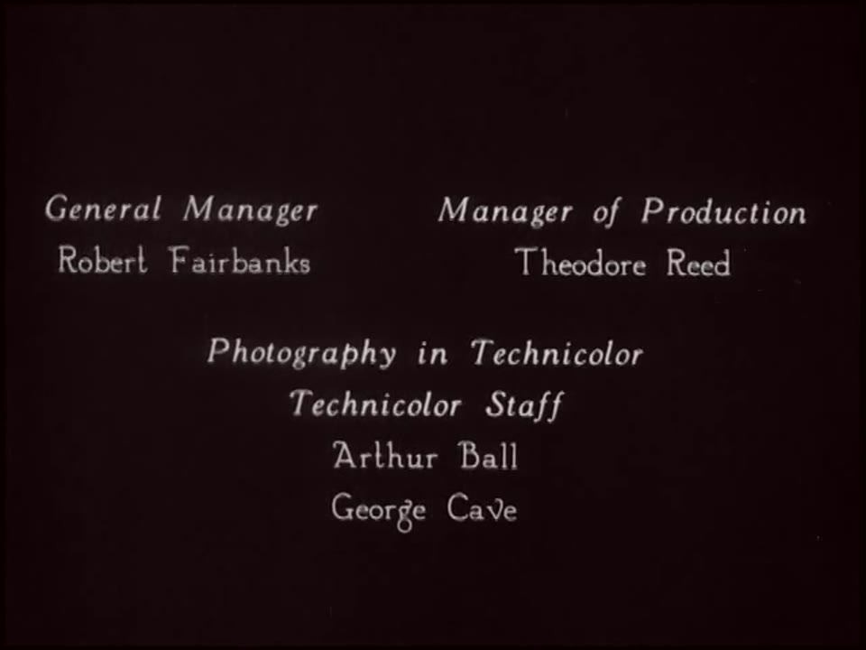 The Black Pirate (1926)