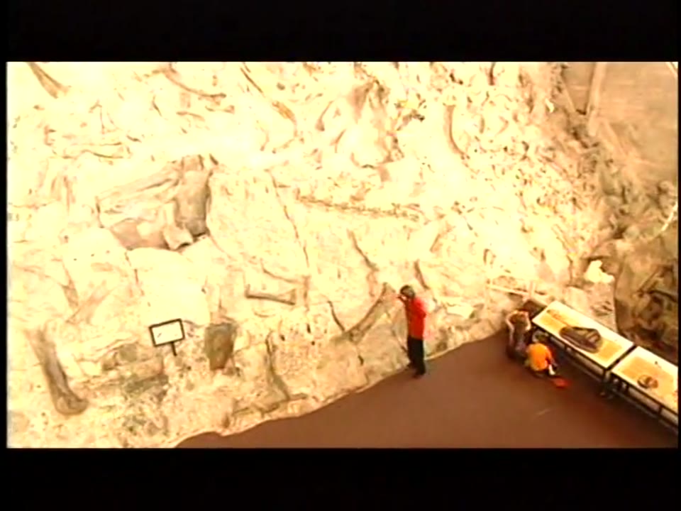 NASA SCI Files - Fossils and Plate Tectonics