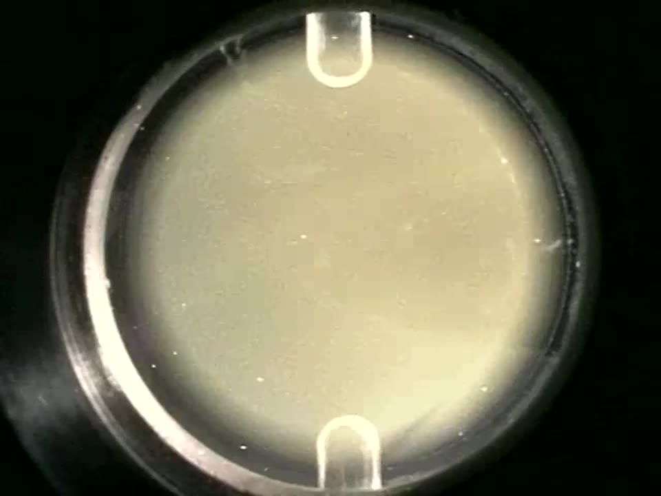 Movie of phase separation during physics of colloids in space experiment