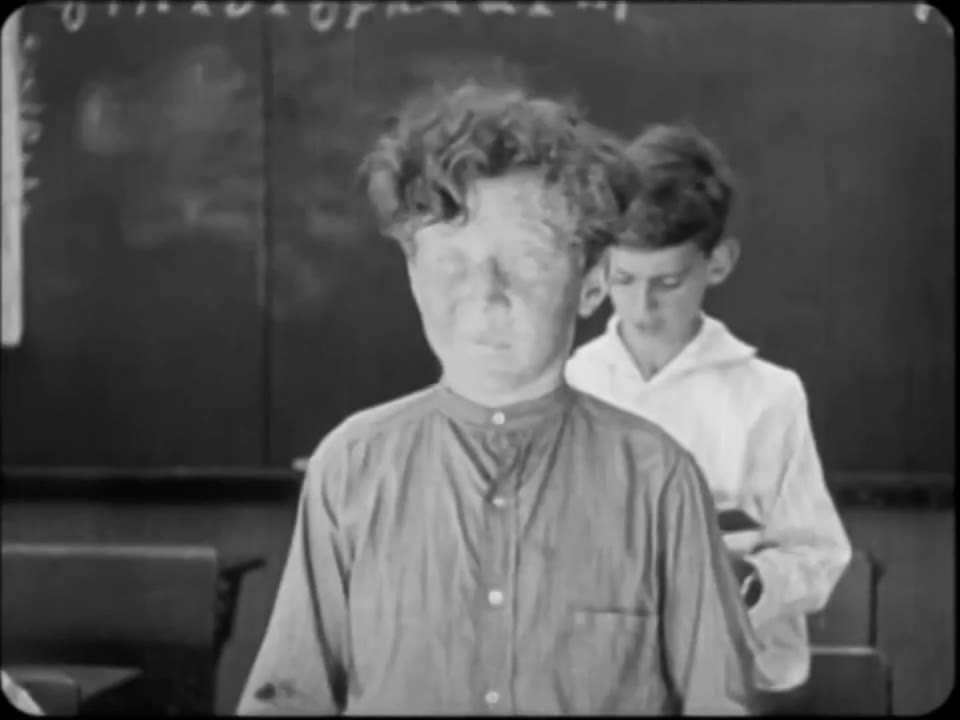 Alice Gets in Dutch (1924)