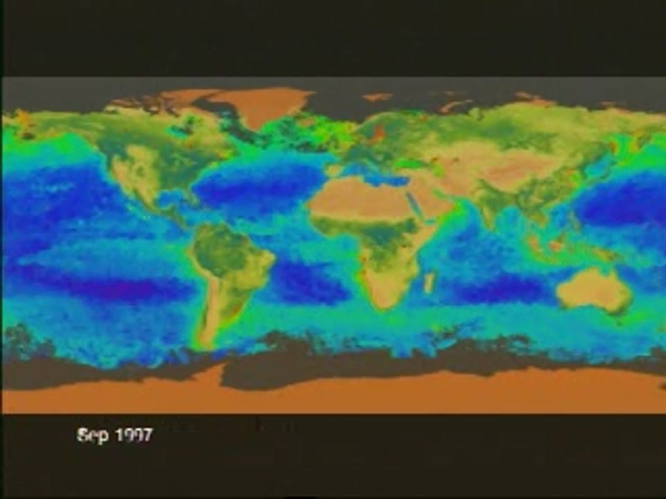 SeaWiFS Biosphere: Whole Earth