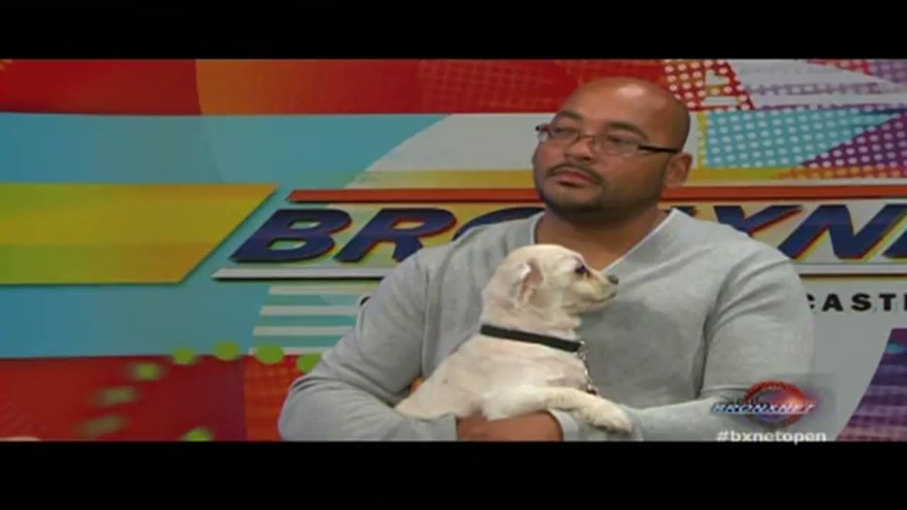 Keeping NYCâs Top Dog Alive