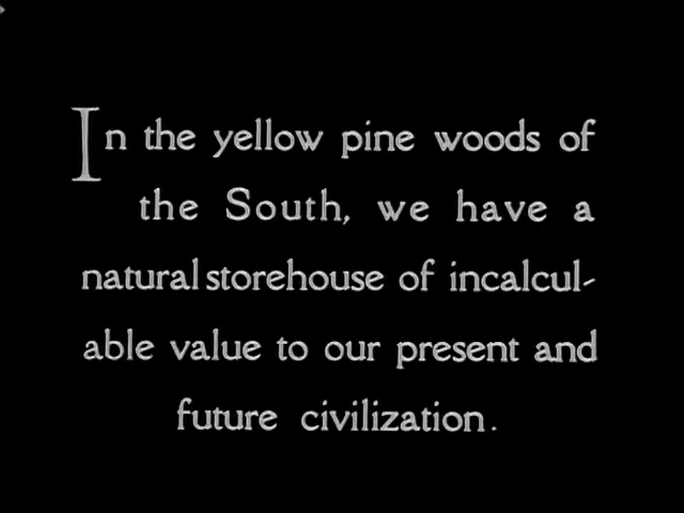 Enemies of the Southern Pine