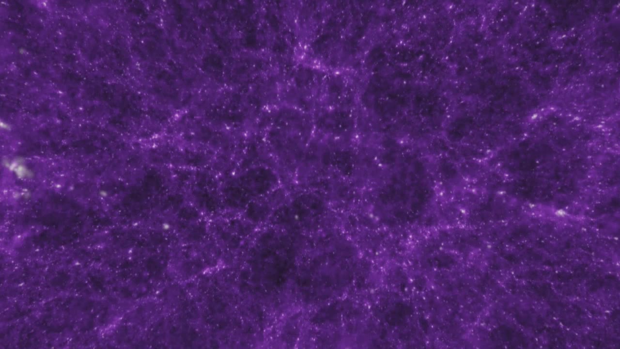 Journey Through the Cosmic Web