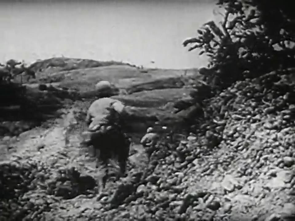 Army Nurse, The