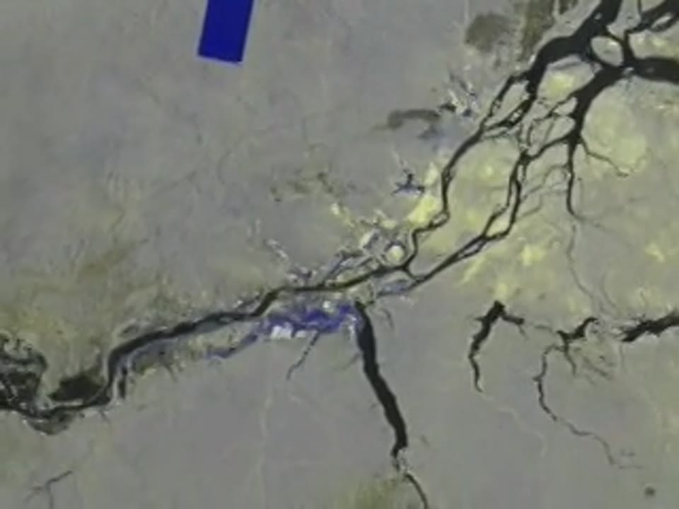 Mapping the Amazon: Mosaic pan