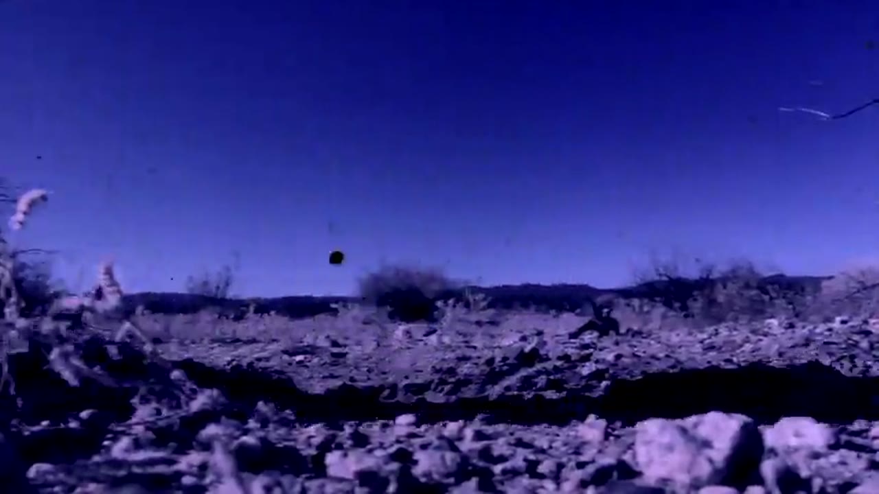Digging Day by Goth Robot 2.0. & Lawrence Hollie