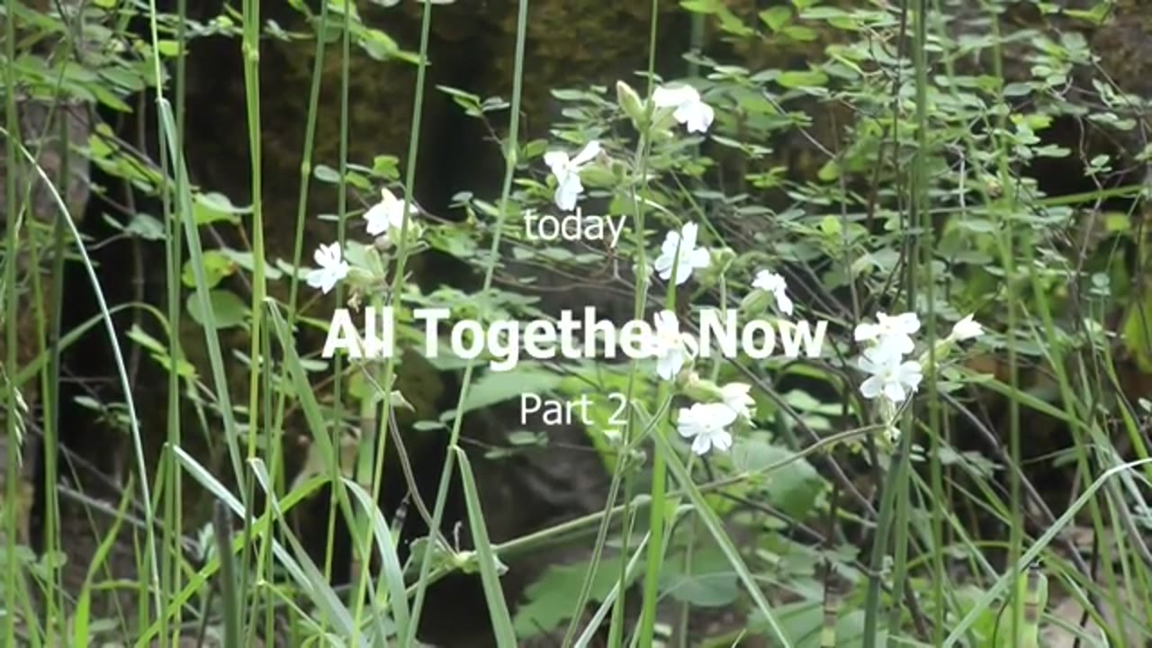 Peace On Mother Earth: All Together Now, Part 2