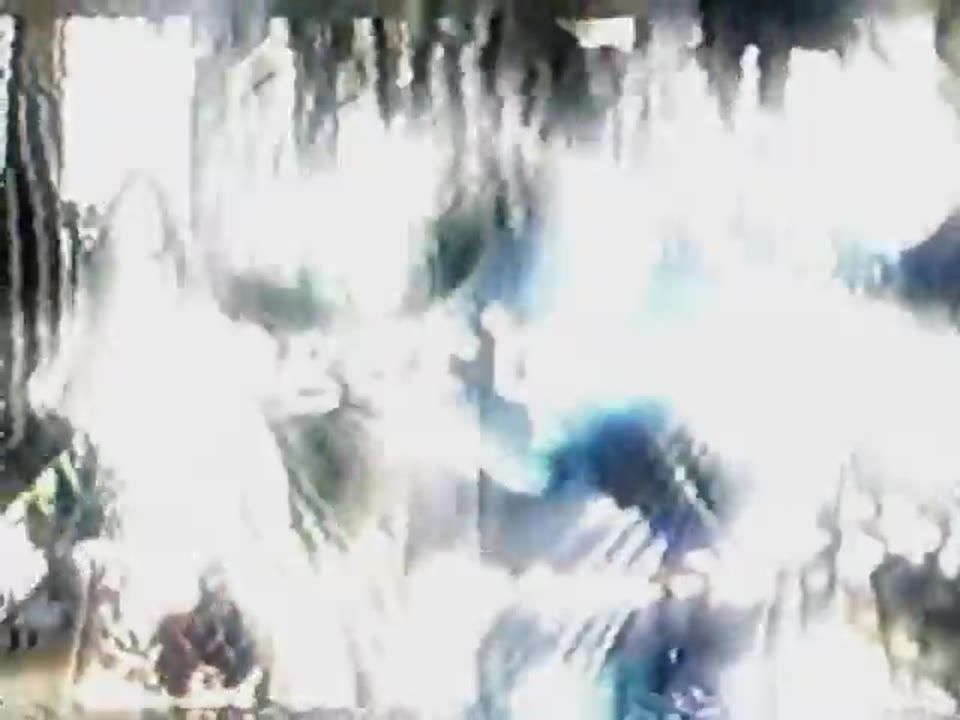 ANGERBLADE - Live @ Necropalooza 2024