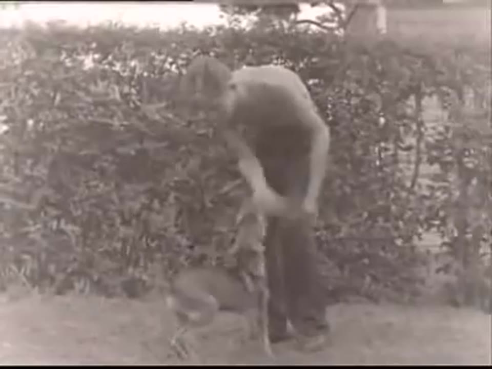 [Home Movies: Texas 1946]