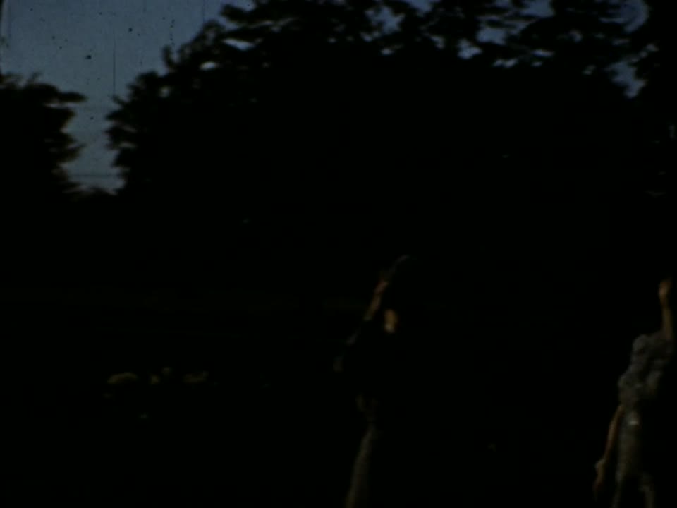 Home Movie: 97366: Western New York State