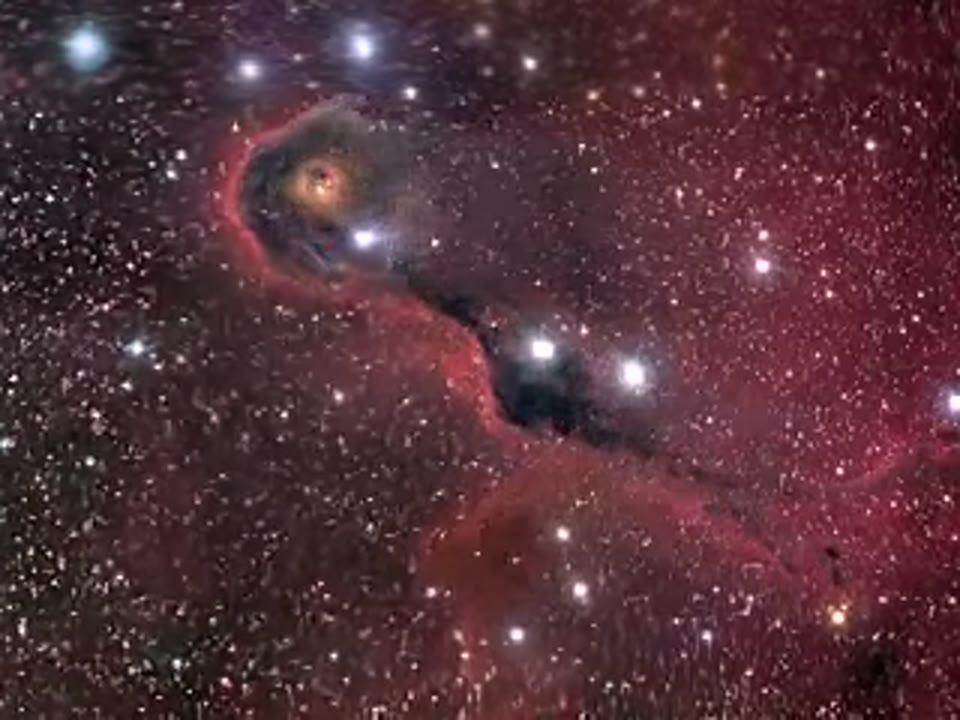 Dark Globule in IC 1396