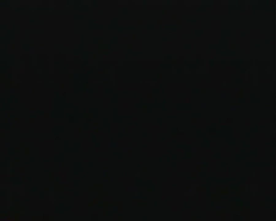 Barney Live! In New York City (1994 VHS)