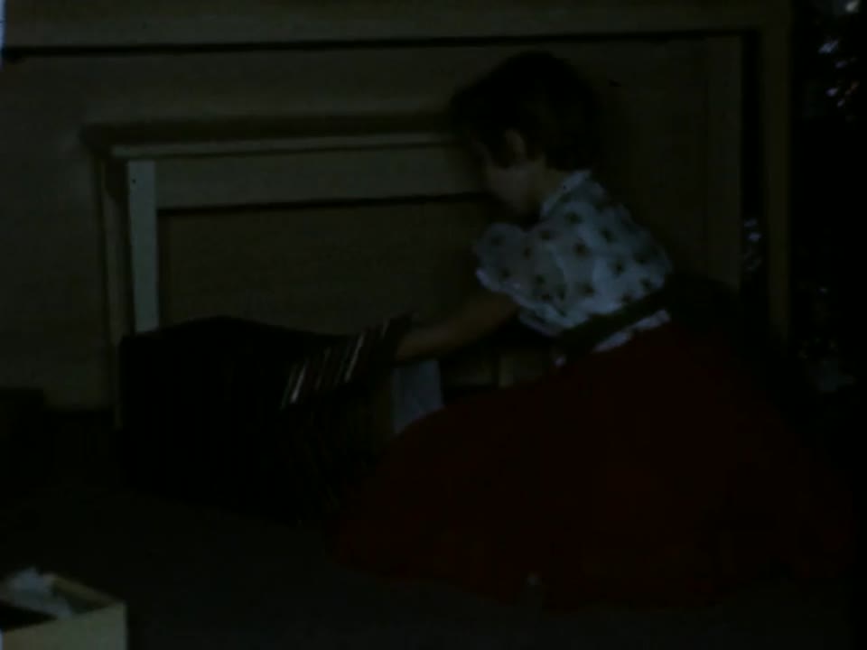 Home Movie: 97365: Pennsylvania Family