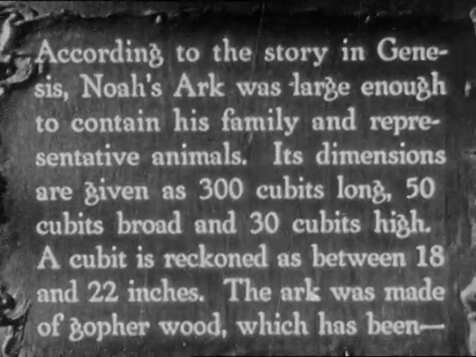 Noah's Ark