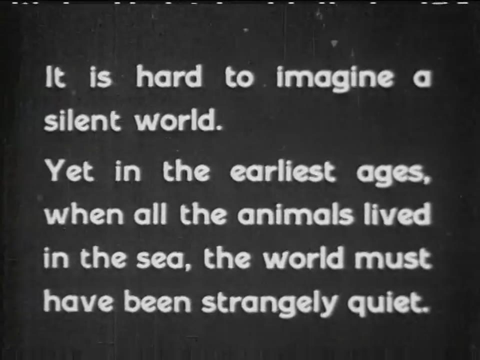 World Beneath the Sea