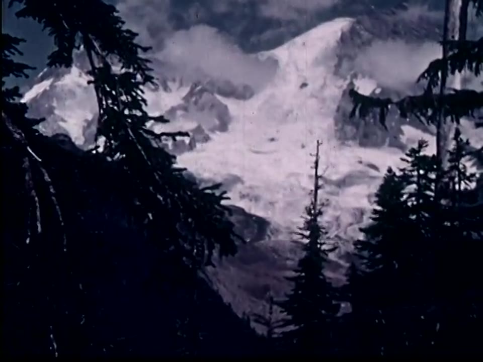 [Home Movies: Northwest]