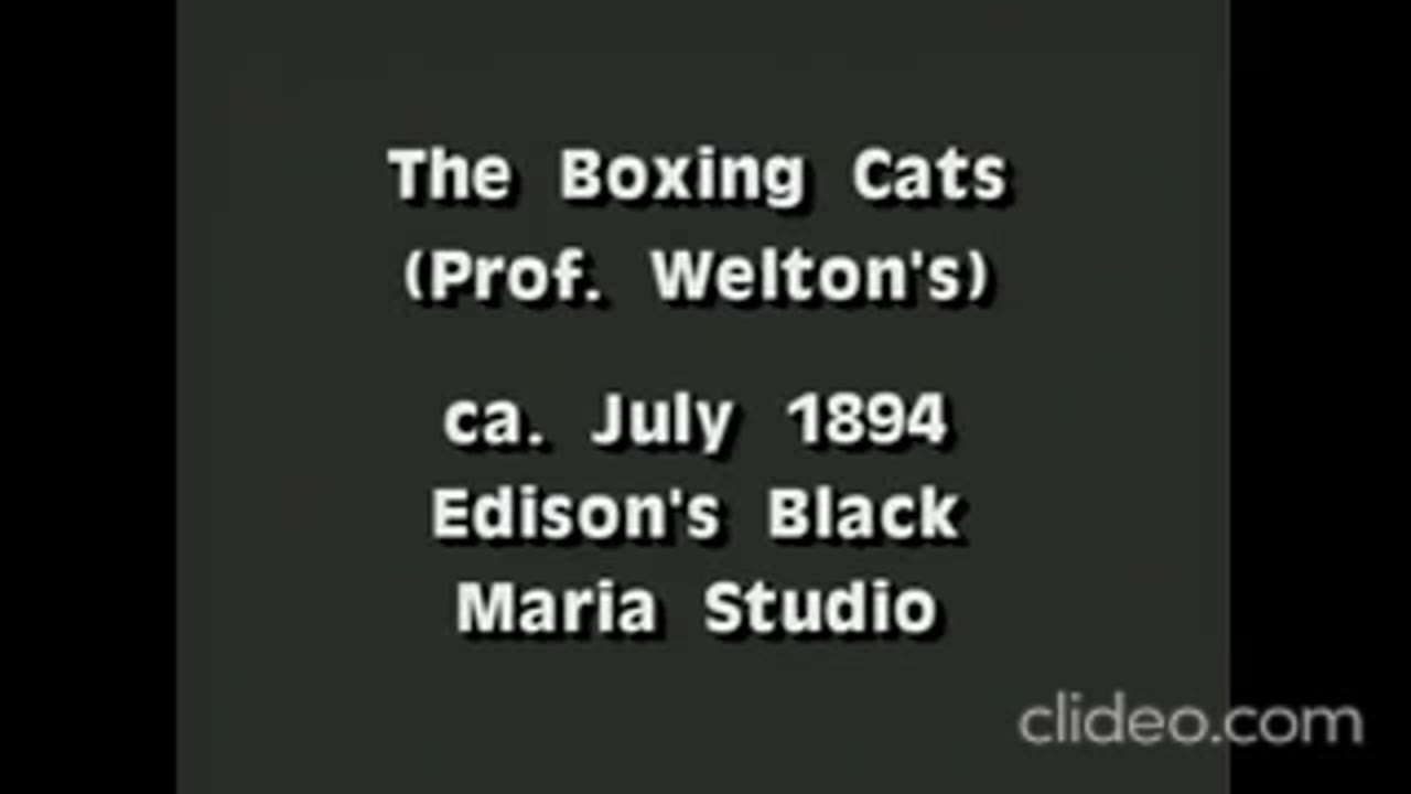 Boxing Cats (1894)